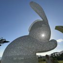 갯마을 진도집 | 22개월아기랑 진도쏠비치(쏠비치근처 맛집추천, 해남산이정원 )