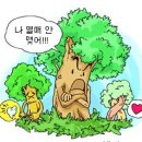 한국춘란 이월(2월)의 관리 배양과 단상(893) 이미지
