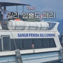 JL그룹 | 사누르에서 길리 페리 놓침, 세랑안에서 그랩, 길리 페리 날짜 변경) 스타피쉬, 마리나그룹 보트 후기