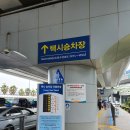 [제주도 신혼여행] 1일차 - 메종 글래드 제주 1박 디럭스 더블룸 907호 리얼후기 (6/13-6/14)