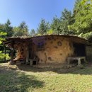 생태숲민박 이미지