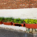 강구식자재할인마트 이미지