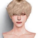 N116 네이버블로그