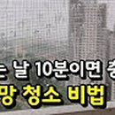 코코네청소 이미지