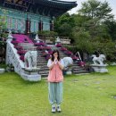 청춘PC | 세종 영평사 2026 청춘 선명상 템플스테이 후기