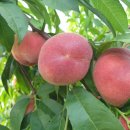 그린님 반갑게 환영합니다 이미지