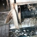 가나기업주식회사 이미지