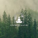 힐링요가 & 명상 이미지