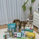 (주)이펫티브 이미지