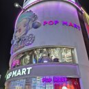 명주도시락 | 영화 <엘리멘탈>에 나오는 도시같은 상하이 와이탄 야경 흠뻑 감상하기 (Feat. 동방명주♥) 고덕지도 有