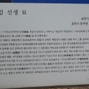 이사검 선생 묘 이미지