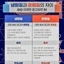 2026.01.24.(토)14시.영어배우기.제56강.초등학생도,이해하기쉬운,영어인칭대명사배우기 이미지