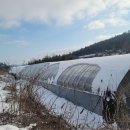 옥터농장 이미지