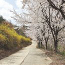 고흥군노인전문요양원 | 20년 전통의 믿을 수 있는 마산요양원 추천 덕인노인전문요양원