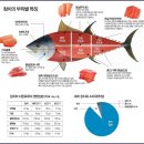 참치어장 이미지