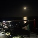 오션스테이 인더시티 죽도 이미지