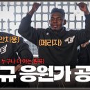 &#39;원곡자에게 허락만 세 달&#39; 개막 D-1, 한화이글스 안치홍·페라자·최인호 응원가 대공개🎉 이미지