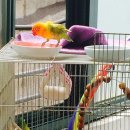 가든조류원 이미지