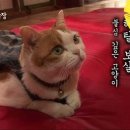상귀농장 이미지