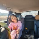 아이(I)세탁 | [내돈내산] 사이벡스 솔루션 Z i-Fix 플러스 주니어카시트 솔직 사용 후기(+ 설치 참고영상)