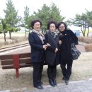 주문진 리조트 이미지