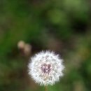 베리온리조트 이미지