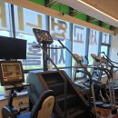 찐 바디핏 이미지