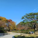 호반숲속작은도서관 이미지