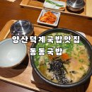 양산덕계맛집 동동국밥 순대국밥 수육 먹고옴