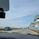 하단2동주민센터 | 사빈의 부산 여행 (22) : 을숙도(乙淑島)
