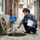 바람방역방제 | 구옥 빌라 바퀴벌레 방역, 세스코 vs 셀프 비교! 습기 잡는 법부터 외부 유입 차단 꿀팁까지