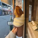 봄의마을광장 | [염전의봄] 전남 여수 이순신광장 디저트 소금빵 맛집 소금빵 아이스크림