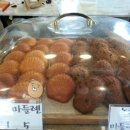 라노보 네이버블로그