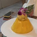 오아이씨 이미지