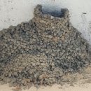 풍계리마을회관 이미지