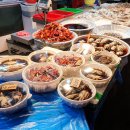 서민갑부횟집 이미지