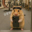 샐러드랩 이미지