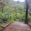 산막이선착장 이미지