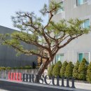 화성 | 화성 봉담 <엄미술관> 솔직 후기