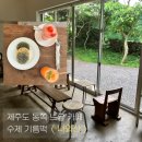 카페나와 | 제주 동쪽 느좋카페 [나와산] 기름떡 후기