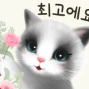 온화담 이미지