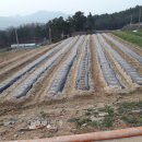 은평-043 이미지