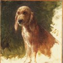로사 보뇌르(Rosa Bonheur 1822~1899, 프랑스) 이미지