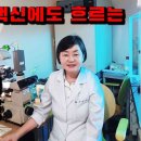 헤세드 이미지