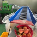 중천농장 | 일하고 마시고 / 새식구들 / 맛집헌터 / 복숭아집며느리 / 결혼준비 / 예신이 / 노마하우스/원데이