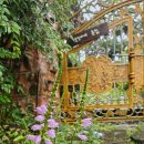 꽃냥이네 촌집 이미지