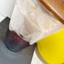 삼부 농장 | 브라질 원두 추천: 챔피언의 커피 ‘파젠다 엄 아라라 내추럴’ 아이스 핸드드립 후기