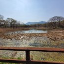 용담저수지 앞 도로 이미지