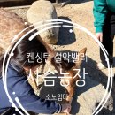 한판화돌농장 | 켄싱턴 설악밸리 사슴농장 후기｜아이와 가기 좋은 동물체험