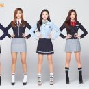 스쿨룩스 이미지